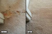 Cranston Creative Carpet Repair image 2